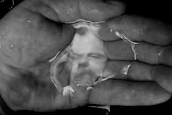 "Line of Fate" by Oscar Munoz