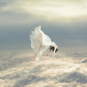 "Free Falling Dream" by Richard Davis